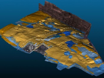 3D scans are used to document and analyse the many layers of flooring (yellow) and layers of soil (blue) from the Viking age houses. In the cut out area loom weights and other larger object can be seen in situ on the floors. (Graphic: Sarah Croix) 3D scans are used to document and analyse the many layers of flooring (yellow) and layers of soil (blue) from the Viking age houses. In the cut out area loom weights and other larger object can be seen in situ on the floors. (Graphic: Sarah Croix)