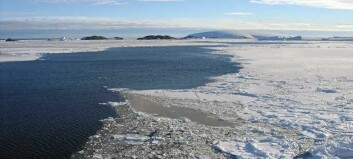 An ice-free oasis in the Arctic sheltered life during the last ice age