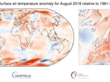 Maps show average temperature for August 2018, relative to 1981-2010 average. Shading indicates warm (red) and cool (blue) areas. (Credit: Copernicus Climate Change Service / ECMWF)
Maps show average temperature for August 2018, relative to 1981-2010 average. Shading indicates warm (red) and cool (blue) areas. (Credit: Copernicus Climate Change Service / ECMWF)