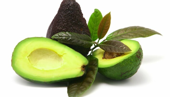 Multi-resistant bacteria fear avocados
