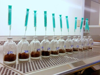 Some experiments are better suited to the laboratory than the field. Here, soil is incubated in small glass bottles to study the microbial degradation of ethanol and methanol. (Photo: Magnus Kramshøj) Some experiments are better suited to the laboratory than the field. Here, soil is incubated in small glass bottles to study the microbial degradation of ethanol and methanol. (Photo: Magnus Kramshøj)