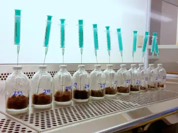 Some experiments are better suited to the laboratory than the field. Here, soil is incubated in small glass bottles to study the microbial degradation of ethanol and methanol. (Photo: Magnus Kramshøj)