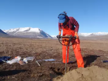 It takes a bit of digging to reach permafrost. Then comes the tough part when frozen soil core samples are drilled out of the permafrost. Zackenberg, North-East Greenland. (Photo: Mats Björkman)