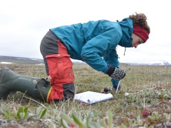 Lærke Stewart, the author of this article, collecting data in Northeast Greenland. (Photo: Lærke Stewart) Lærke Stewart, the author of this article, collecting data in Northeast Greenland. (Photo: Lærke Stewart)