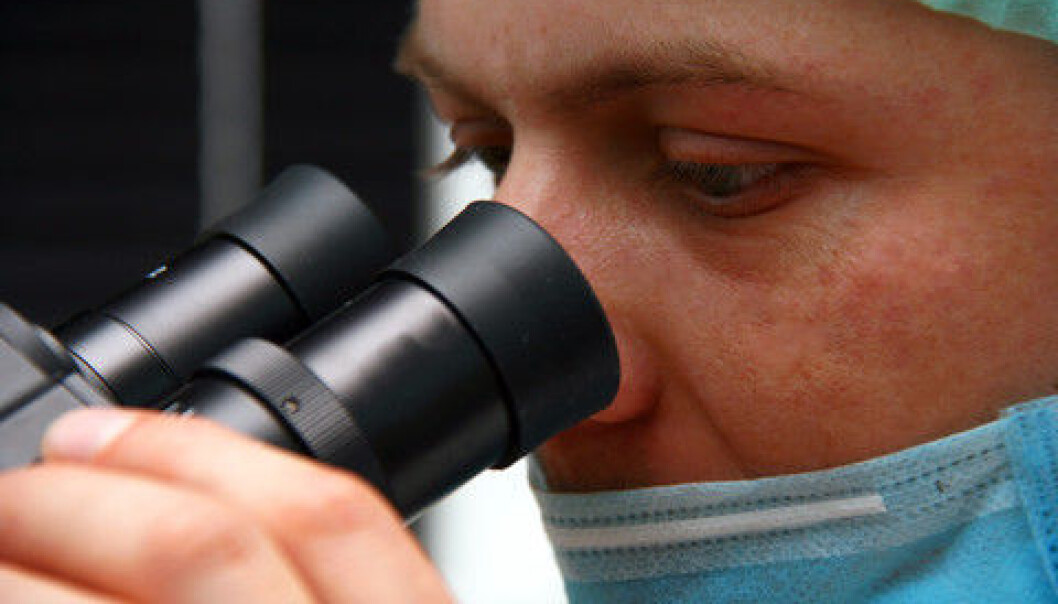 Using a laser mounted on a microscope, the researcher could cut into the immature eggs and extract the RNA, which provide information about possible defects in the egg’s maturation process. (Photo: Colourbox) Using a laser mounted on a microscope, the researcher could cut into the immature eggs and extract the RNA, which provide information about possible defects in the egg’s maturation process. (Photo: Colourbox)