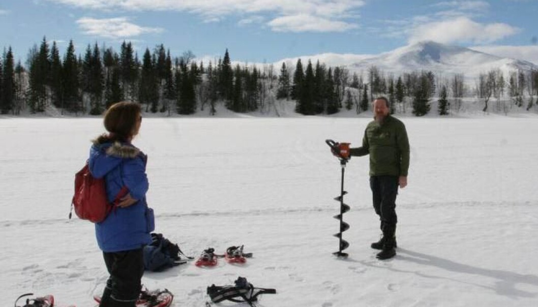 It has long been generally accepted that trees were completely wiped out in Scandinavia during the last ice age, which started some 115,000 years ago. A Danish-led research team now claims to have disproved this theory. (Photo: Science/AAAS) It has long been generally accepted that trees were completely wiped out in Scandinavia during the last ice age, which started some 115,000 years ago. A Danish-led research team now claims to have disproved this theory. (Photo: Science/AAAS)