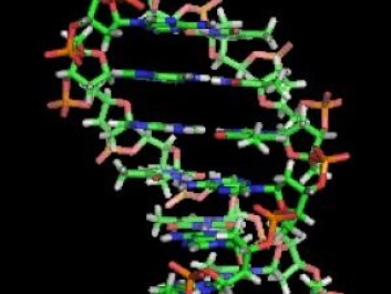Genetic variation is what sets one herring apart from another. The spatial structure of the DNA was discovered in 1953. (Photo: Zeyphyris) Genetic variation is what sets one herring apart from another. The spatial structure of the DNA was discovered in 1953. (Photo: Zeyphyris)