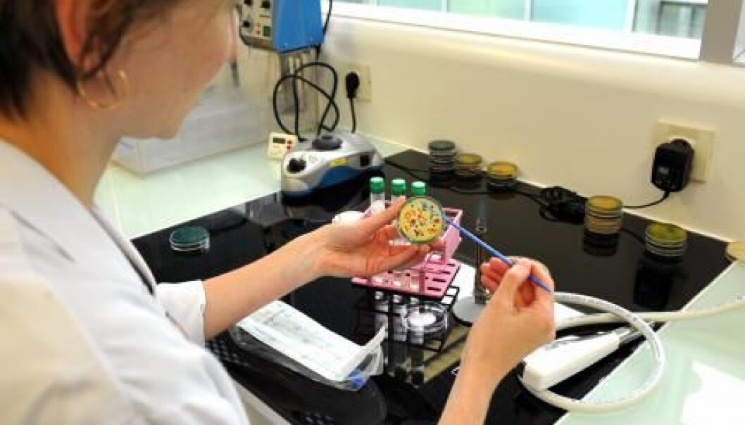 New research has created techniques and mathematical models for data processing, revolutionising future bacteria research. Bacteria can now be studied with much higher degrees of detail. (Photo: Colourbox) New research has created techniques and mathematical models for data processing, revolutionising future bacteria research. Bacteria can now be studied with much higher degrees of detail. (Photo: Colourbox)