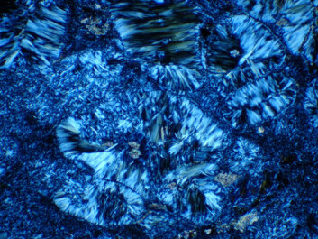 Serpentine seen through a microscope (Photo: Emily Pope) Serpentine seen through a microscope (Photo: Emily Pope)