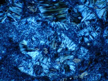 Serpentine seen through a microscope (Photo: Emily Pope)