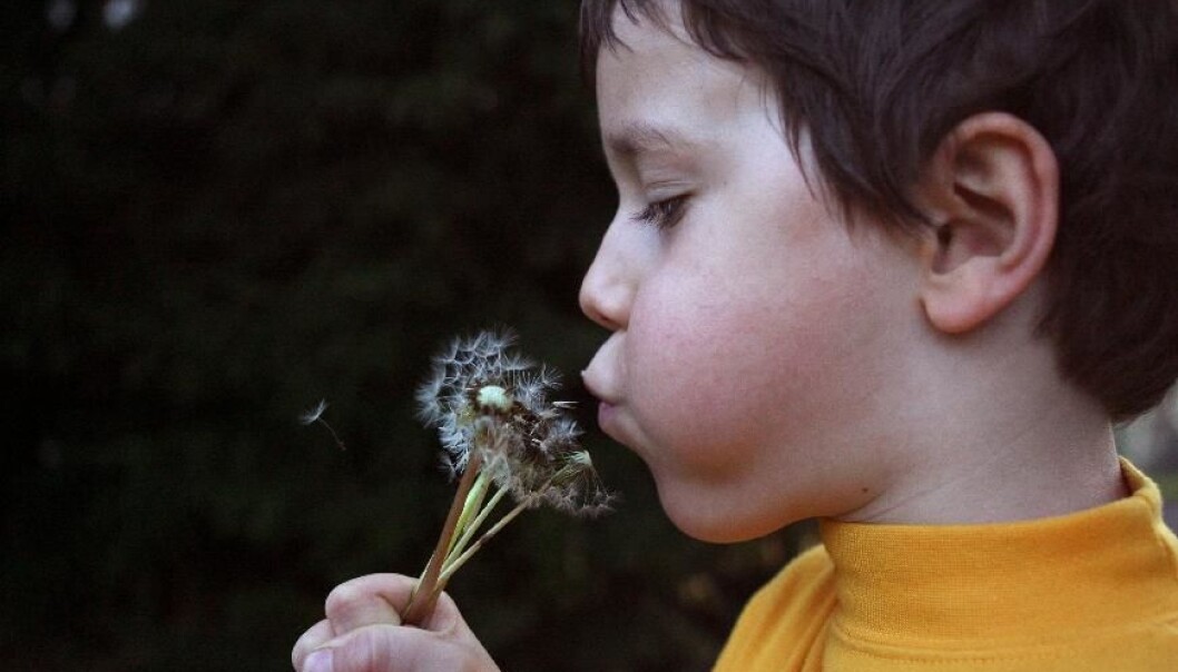Infants may start developing allergies even before they are born - although the first symptoms do not emerge until later in life. (Photo: Colourbox). Infants may start developing allergies even before they are born - although the first symptoms do not emerge until later in life. (Photo: Colourbox).