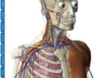 The ’Visible Body’ allows the user to explore human anatomy layer by layer in three dimensions. (Screenshot: Argosy Publishing) The ’Visible Body’ allows the user to explore human anatomy layer by layer in three dimensions. (Screenshot: Argosy Publishing)
