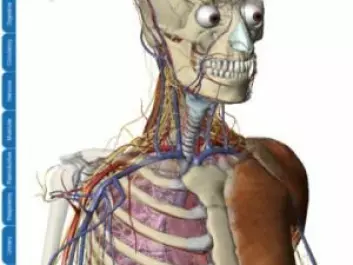 The ’Visible Body’ allows the user to explore human anatomy layer by layer in three dimensions. (Screenshot: Argosy Publishing)