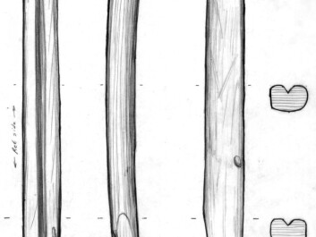 Sketch of a drum hoop fragment found at Qeqertasussuk, viewed from three sides. The fragment is carved from spruce, which is frequently found as driftwood carried from Siberia to the coasts of Greenland by ocean currents. Length: 24.5 cm. (Illustration: Bjarne Grønnow) Sketch of a drum hoop fragment found at Qeqertasussuk, viewed from three sides. The fragment is carved from spruce, which is frequently found as driftwood carried from Siberia to the coasts of Greenland by ocean currents. Length: 24.5 cm. (Illustration: Bjarne Grønnow)