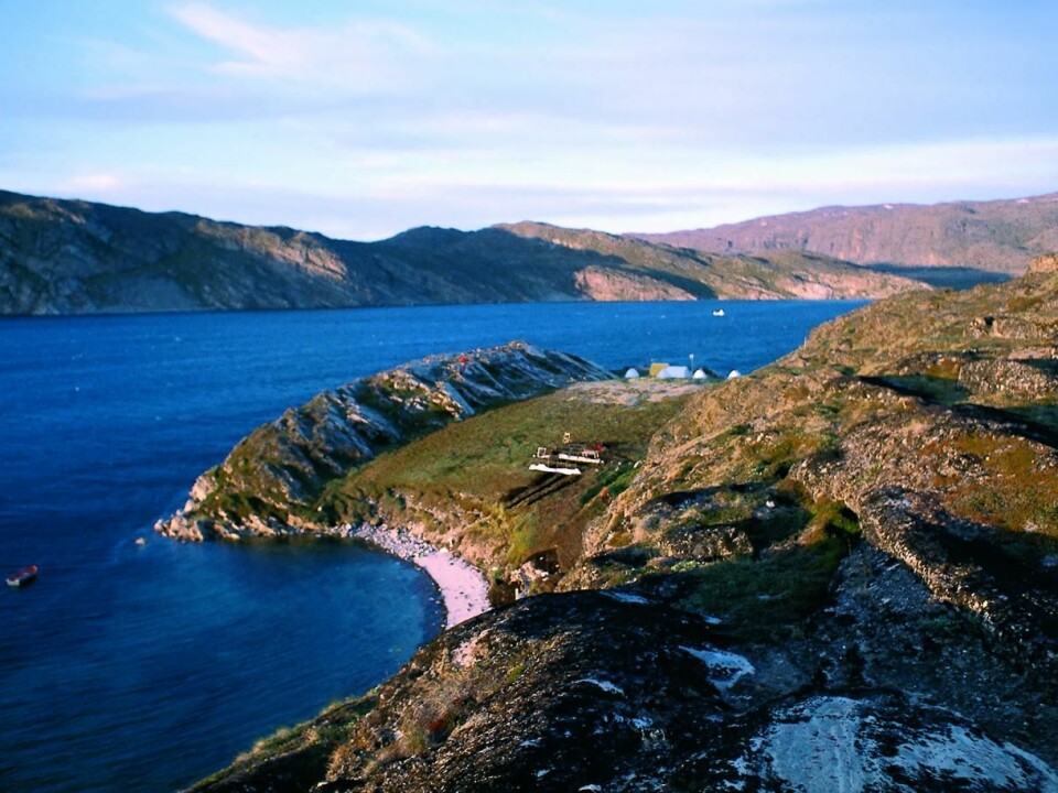 The Qeqertasussuk settlement at the Disko Bay, which is more than 4,000 years old, lies on a small island near an important spring migration route for seals and whales. The excavation in the permafrost, in 1986, can be seen as dark areas on the grass-covered settlement. (Photo: Greenland National Museum and Archives)
