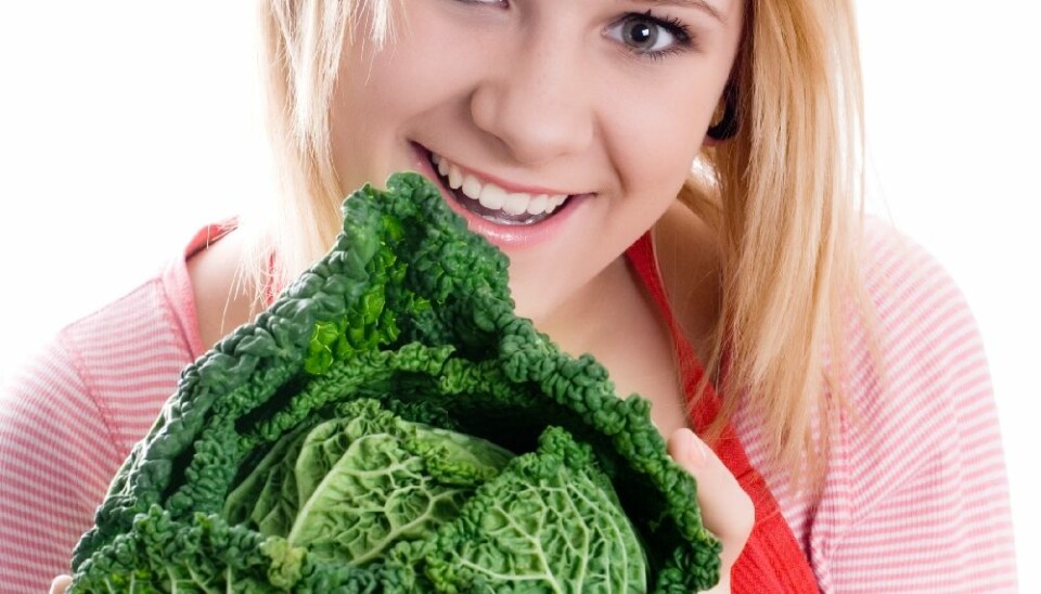 Researchers are hoping to demonstrate that the new Nordic diet, which includes lots of cabbage and other vegetables, makes us healthier. But it has proved very difficult to find any direct effect on individual persons. (Photo: Colourbox)