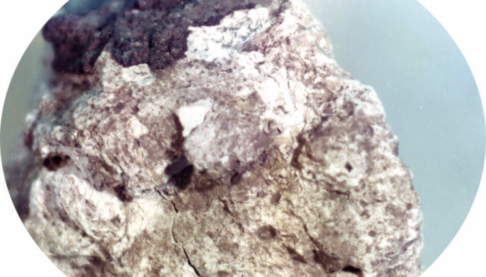 The newly dated moon rock has the captivating name '60025'. (Photo: NASA).