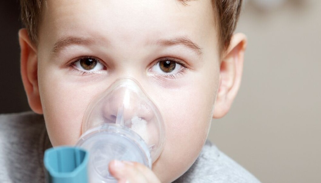 Air pollution affects children in particular because they have a higher respiration rate than adults and thus inhale more pollution. Three children are hospitalised every day on average because of severe asthma attacks. (Photo: Colourbox) Air pollution affects children in particular because they have a higher respiration rate than adults and thus inhale more pollution. Three children are hospitalised every day on average because of severe asthma attacks. (Photo: Colourbox)