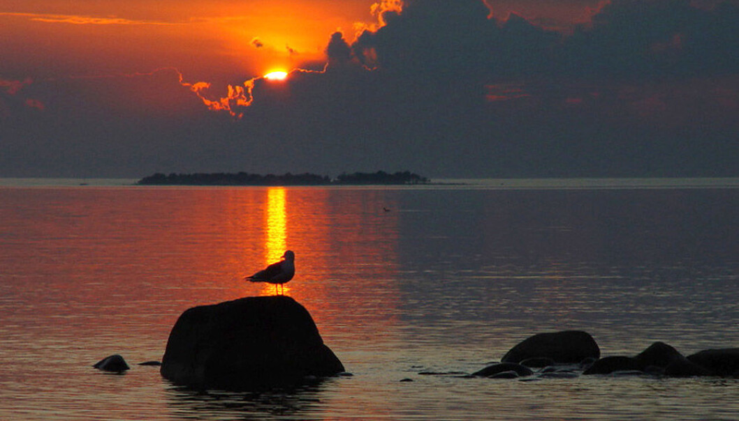 Sunset over Lake Vättern. (Photo: Jürgen Howaldt, Wikimedia Commons) Sunset over Lake Vättern. (Photo: Jürgen Howaldt, Wikimedia Commons)