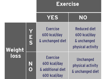 In the trial 48 sedentary, moderately overweight men were divided into four equal groups. (Graphic Pernille Nordby) In the trial 48 sedentary, moderately overweight men were divided into four equal groups. (Graphic Pernille Nordby)