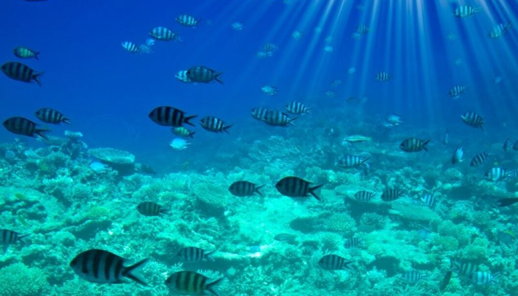 Researchers have developed a groundbreaking method for measuring the activity of the myriad microorganisms thriving in the mud deep below the surface of the seabed. Due to their significant CO2 production, the sub-seabed bacteria have a vast influence on our climate. In the future, the new method may assist scientists in calculating exactly how large this influence is. Researchers have developed a groundbreaking method for measuring the activity of the myriad microorganisms thriving in the mud deep below the surface of the seabed. Due to their significant CO2 production, the sub-seabed bacteria have a vast influence on our climate. In the future, the new method may assist scientists in calculating exactly how large this influence is.