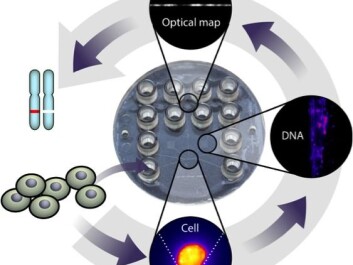 Human cells are loaded onto a single-use plastic device. A single cell is captured, and its DNA is extracted and stained with a fluorescent dye. The DNA is then heated to create a ‘barcode’, i.e. a pattern of fluorescence that depends on its specific DNA sequence. Individual DNA fragments are stretched, and their barcodes are imaged and analysed. Comparison with a reference genome shows genetic changes in the specific cell that the DNA came from. Human cells are loaded onto a single-use plastic device. A single cell is captured, and its DNA is extracted and stained with a fluorescent dye. The DNA is then heated to create a ‘barcode’, i.e. a pattern of fluorescence that depends on its specific DNA sequence. Individual DNA fragments are stretched, and their barcodes are imaged and analysed. Comparison with a reference genome shows genetic changes in the specific cell that the DNA came from.