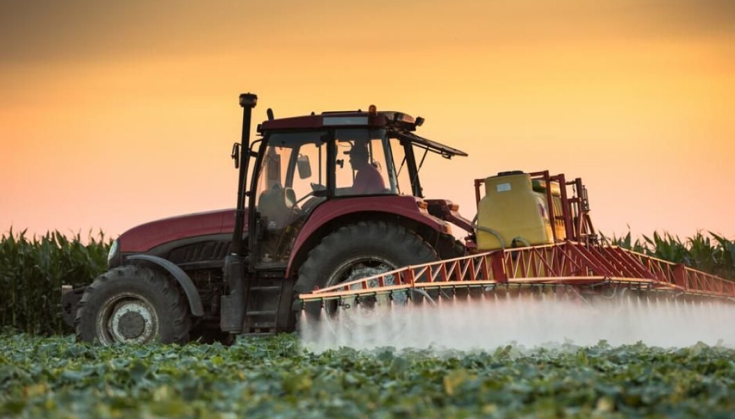 Many pesticides are used in agriculture. To research more environmentally friendly alternatives to the traditional agrochemical pesticides, researchers are looking at fungal spores and spider venom. (Photo: Shutterstock) Many pesticides are used in agriculture. To research more environmentally friendly alternatives to the traditional agrochemical pesticides, researchers are looking at fungal spores and spider venom. (Photo: Shutterstock)