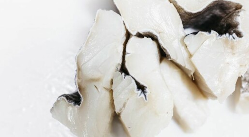 Would you like salt fish or klippfisk for dinner today?