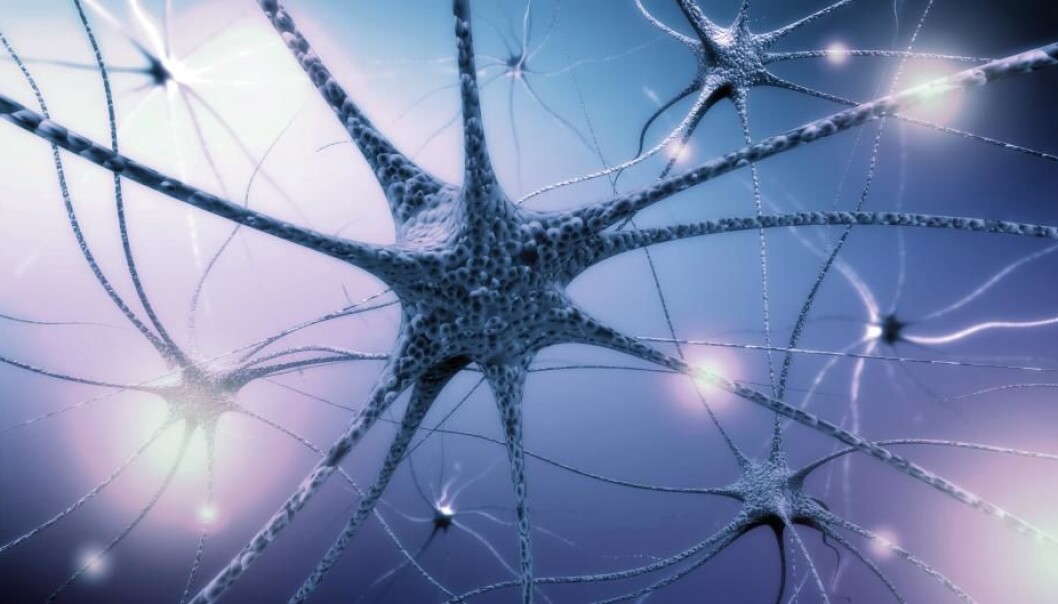 There is debate in the research world about how the nervous system evolved. There are roughly three hypotheses, and you can read about them here in this article. There is debate in the research world about how the nervous system evolved. There are roughly three hypotheses, and you can read about them here in this article.