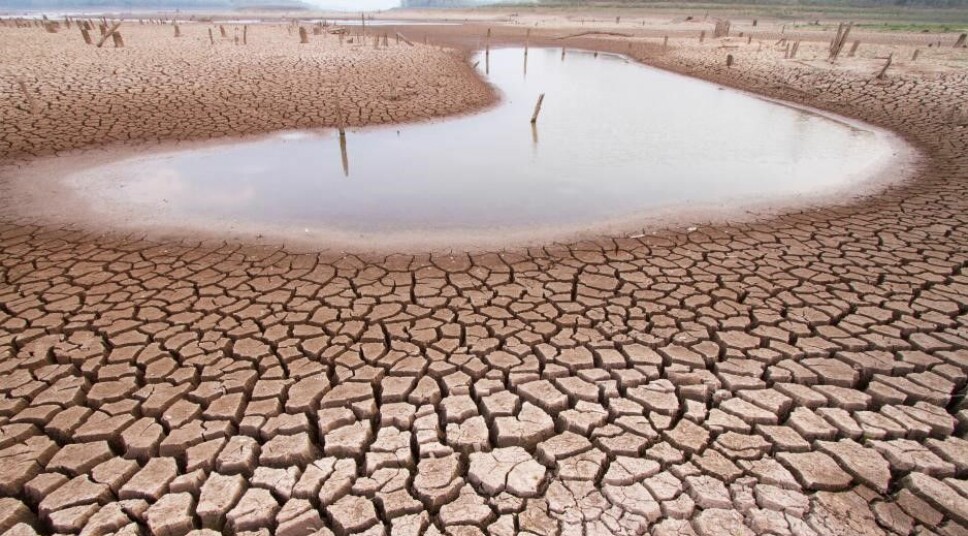 The World Bank predicts that, by 2050, the influence of climate change on water resources may result in a reduction in GDP of up to 10-15 percent in certain dry regions in Asia and Africa.