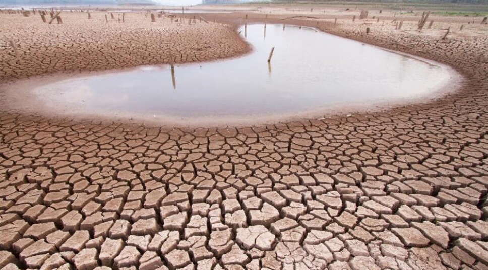 The World Bank predicts that, by 2050, the influence of climate change on water resources may result in a reduction in GDP of up to 10-15 percent in certain dry regions in Asia and Africa.