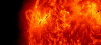 A new solar cycle may be underway