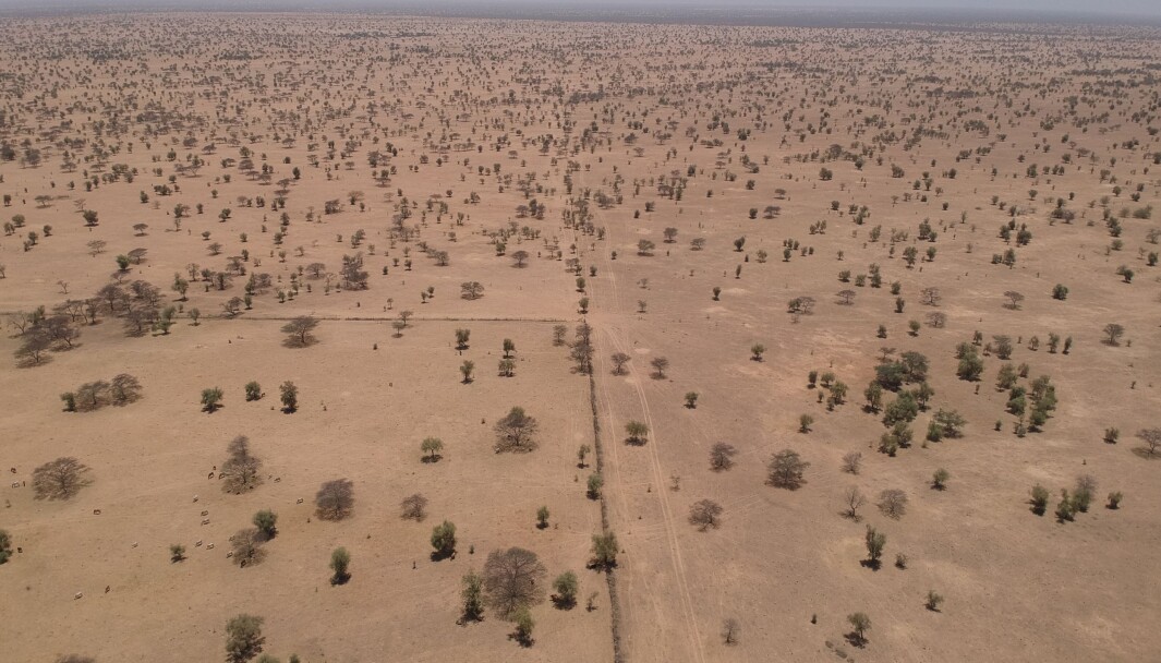 A picture of the Sahel that crosses the African continent from ocean to ocean A picture of the Sahel that crosses the African continent from ocean to ocean