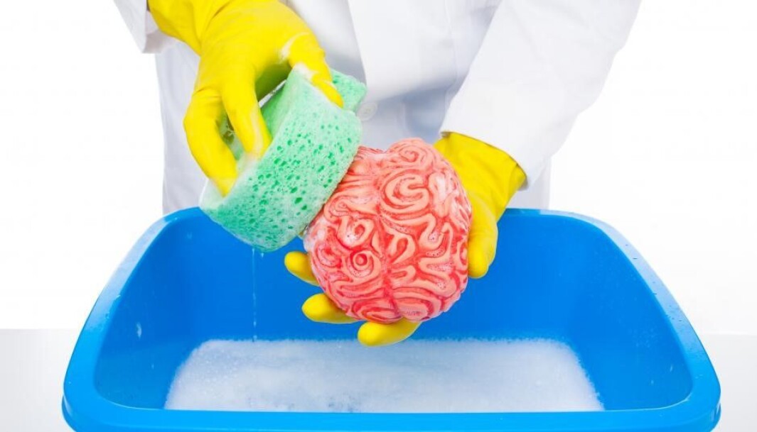 The concept of 'brainwashing' has negative connotations. But perhaps fluid channels in the brain support a healthy form of 'brainwashing' when we sleep. The concept of 'brainwashing' has negative connotations. But perhaps fluid channels in the brain support a healthy form of 'brainwashing' when we sleep.