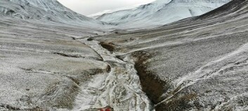 Svalbard provides clues about Earth’s largest mass extinction