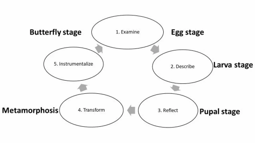 Figure: The five steps of the butterfly model.