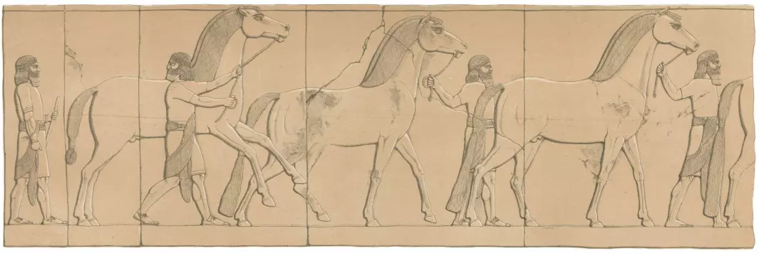 Men with horses