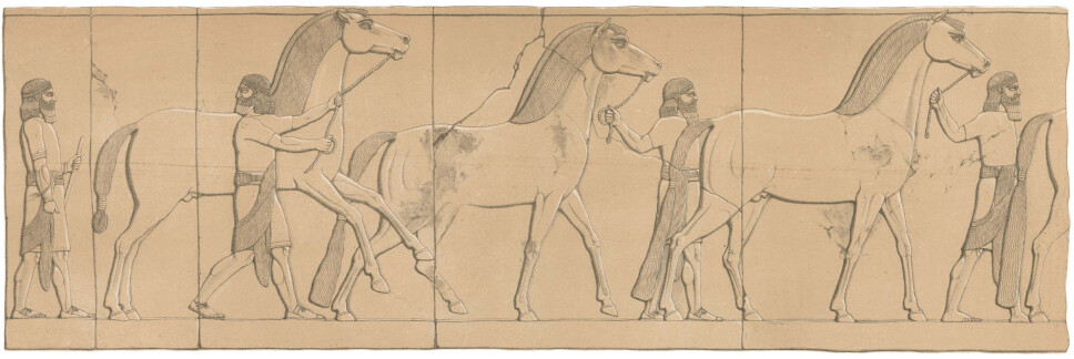Men with horses