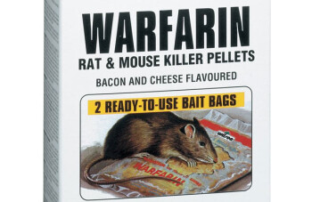 Kill Rats Yanog Two young researchers: Ground-breaking discovery was a coincidence