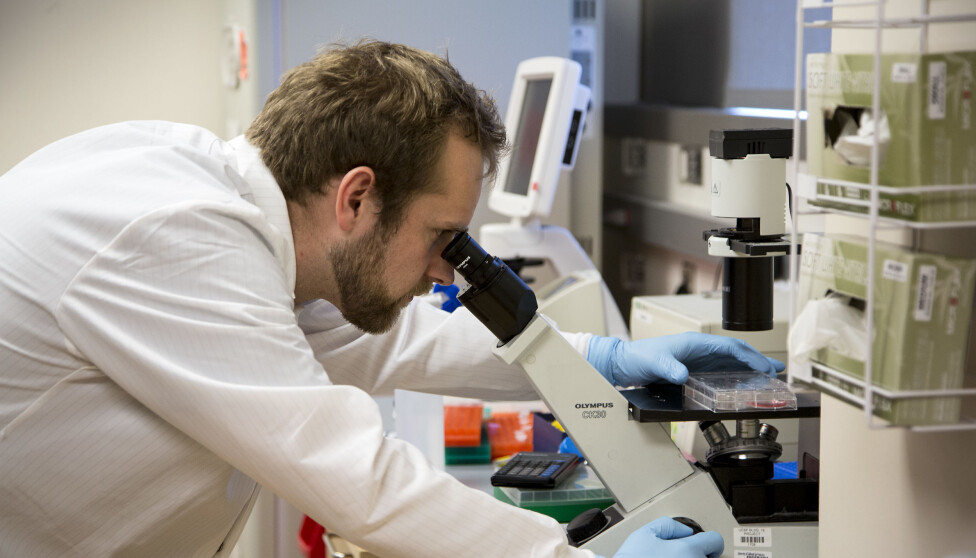 Tore working in the lab in USA.