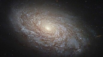 What is a galaxy?