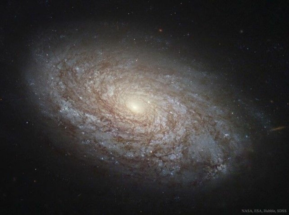 space spiral galaxy