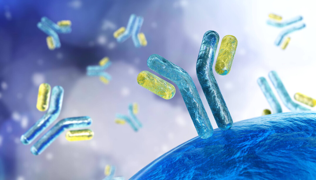 »Antibodies are a natural part of our immune systems and are produced by the white blood cells in our body. Their job is to battle viral, parasitic, and bacterial infections that we encounter throughout our lives.« »Antibodies are a natural part of our immune systems and are produced by the white blood cells in our body. Their job is to battle viral, parasitic, and bacterial infections that we encounter throughout our lives.«