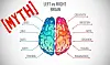 50 Shocking Facts: Majority Right-Brain Dominance Unveiled 2023