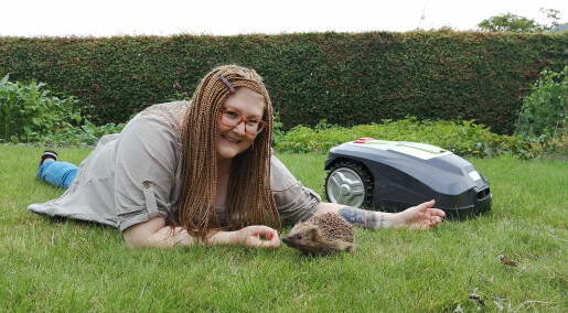 Do robotic lawn mowers hurt hedgehogs? Dr Hedgehog has the answer