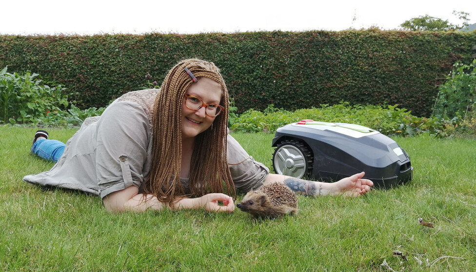 As the population of European hedgehogs is in decline all over Europe, it is very important to identify and investigate the factors responsible for this.