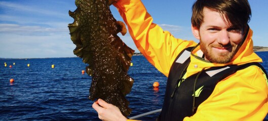 Serving up edible kelp to Michelin restaurants and supermarkets