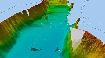Pioneering ocean seafloor – new Greenlandic maps can make fishing more effective and sustainable