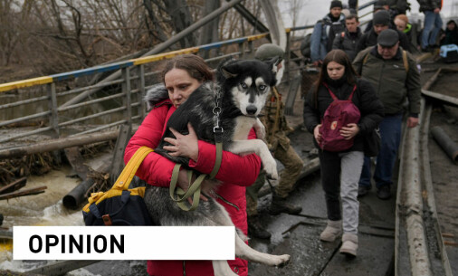 Ukraine: How can we protect animals when we can’t even protect humans?