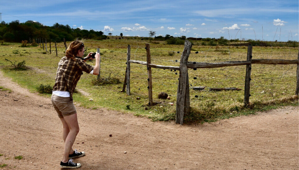 Why are fences so provoking?